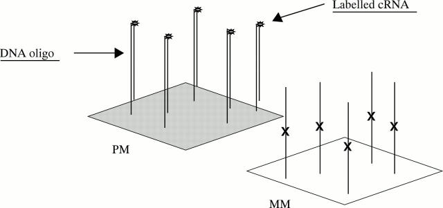 Figure 5  