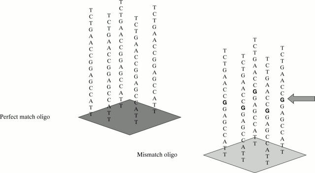 Figure 1  