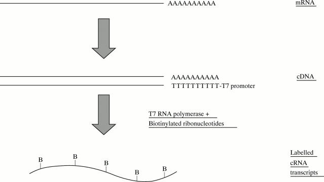 Figure 2  