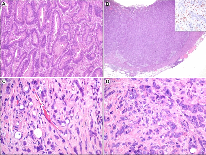 Fig. 1