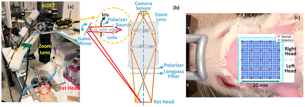 Fig. 1.