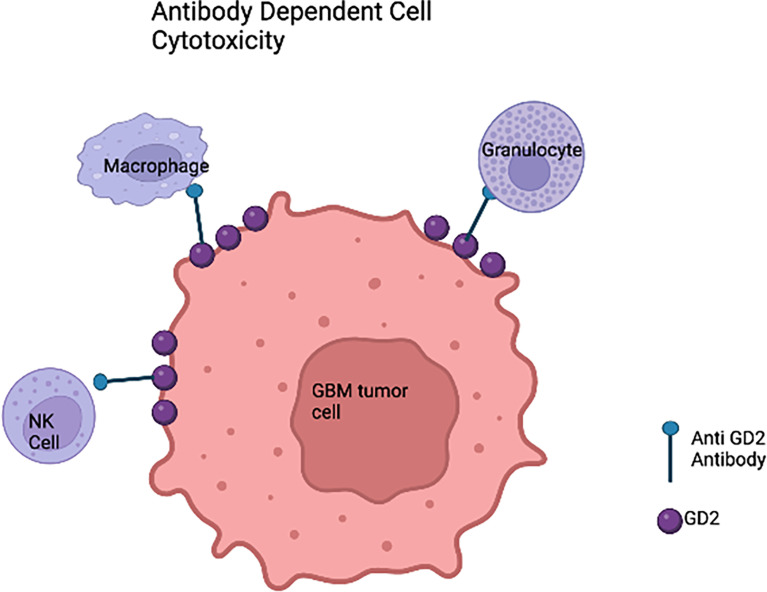 Figure 3