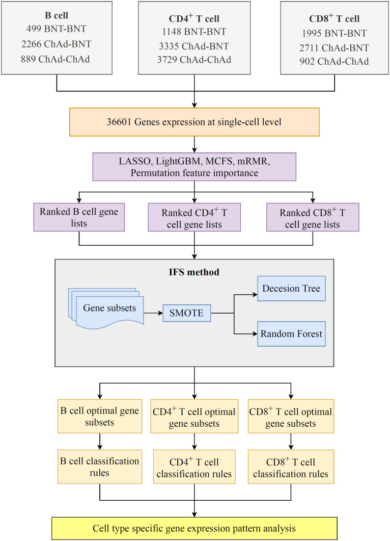 Figure 1