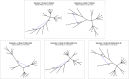 Fig. 9