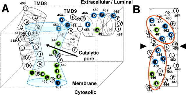 Figure 6.