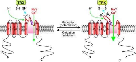 FIG. 7.