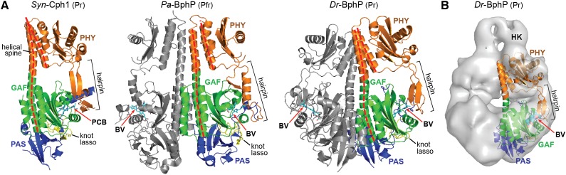 Figure 5.