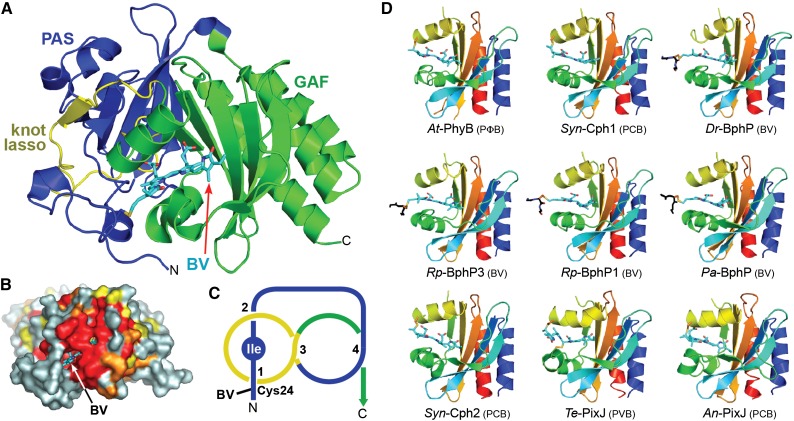 Figure 3.