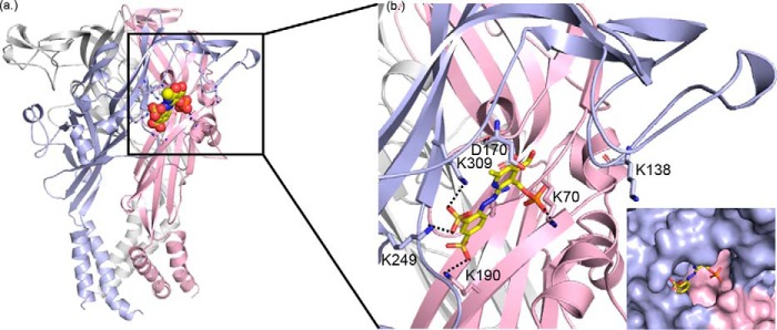 Figure 5.