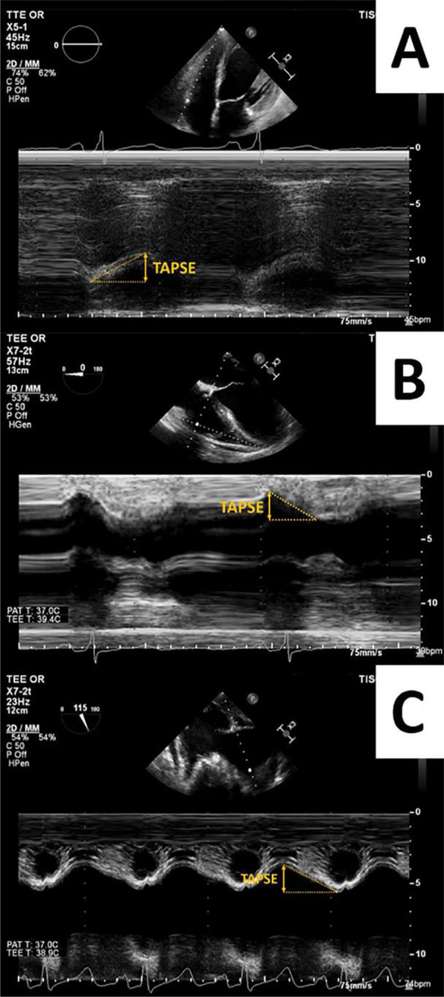 Figure 2: