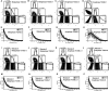 Figure 8—figure supplement 2.