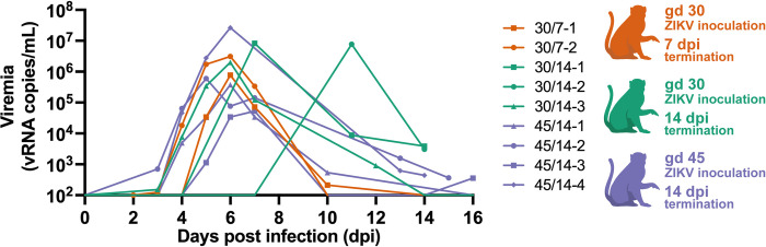 Fig 2