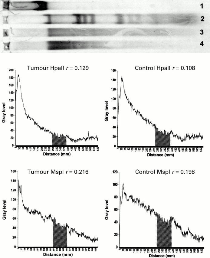 Figure 3  