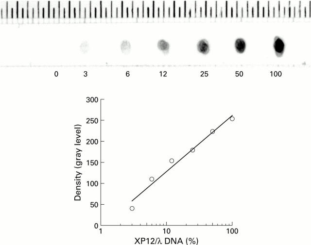 Figure 2  