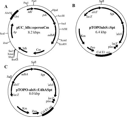 FIG. 2.