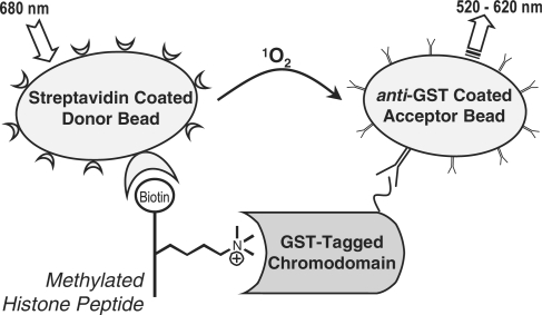 Scheme 1.