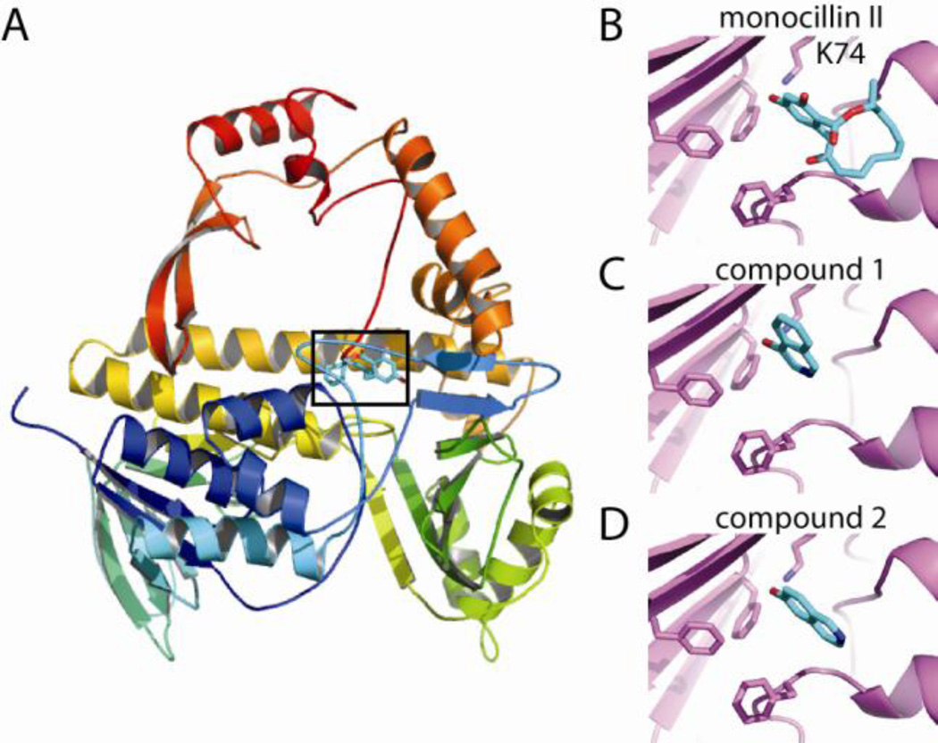 Figure 2