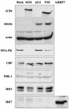 FIG. 6.