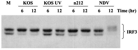 FIG. 7.