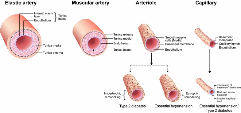 Fig. 1