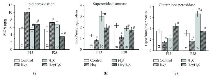 Figure 5