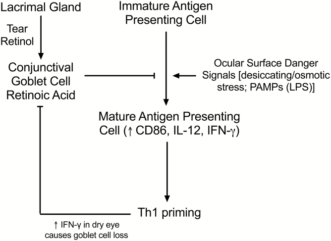 Fig. 8.