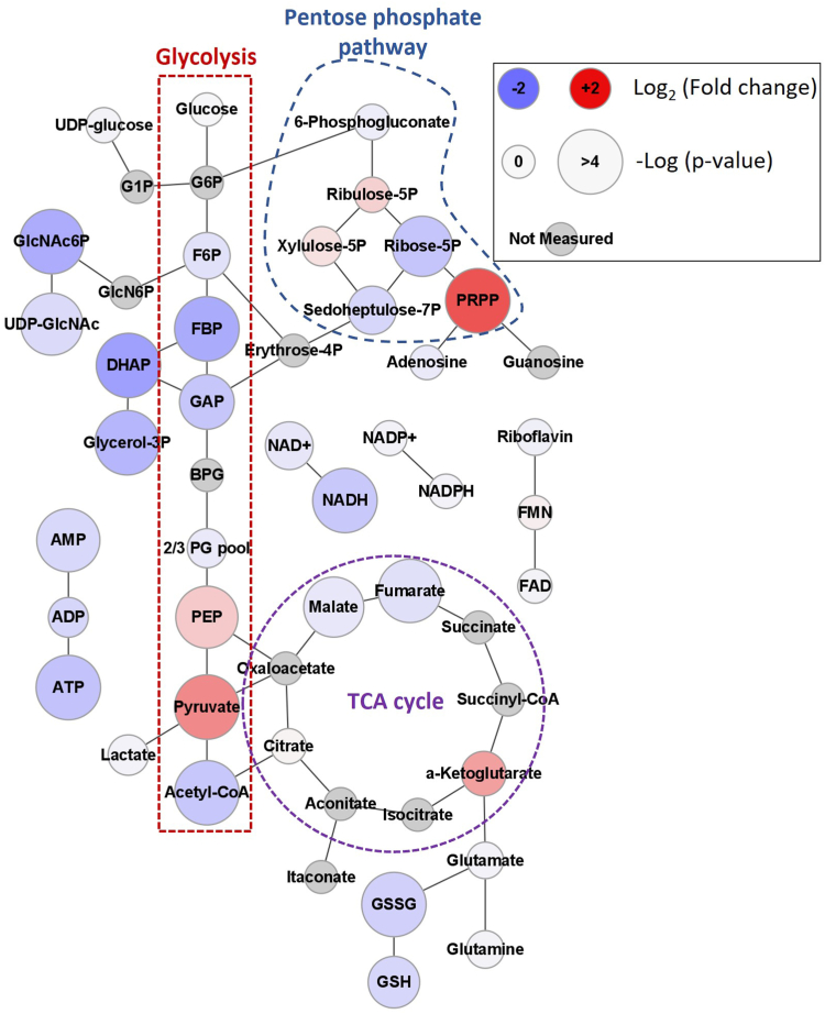 Figure 7