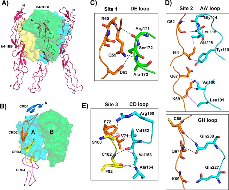 Figure 3.