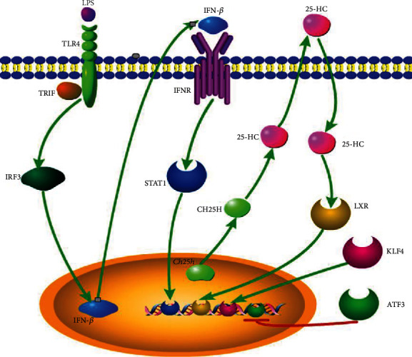 Figure 2