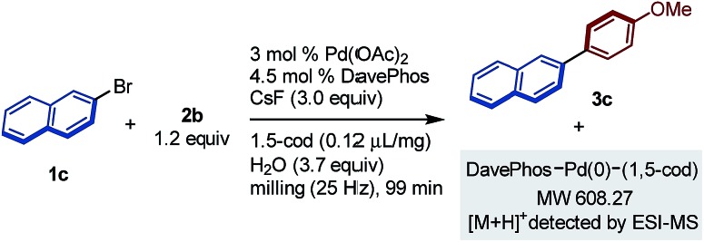 Scheme 3