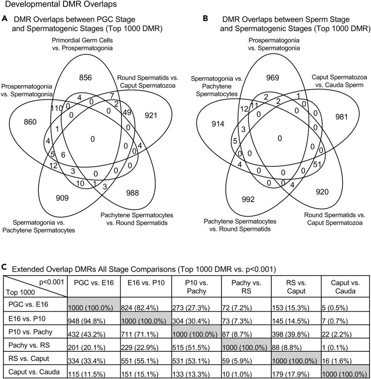 Figure 5