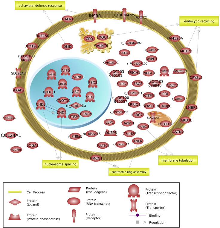 Figure 12