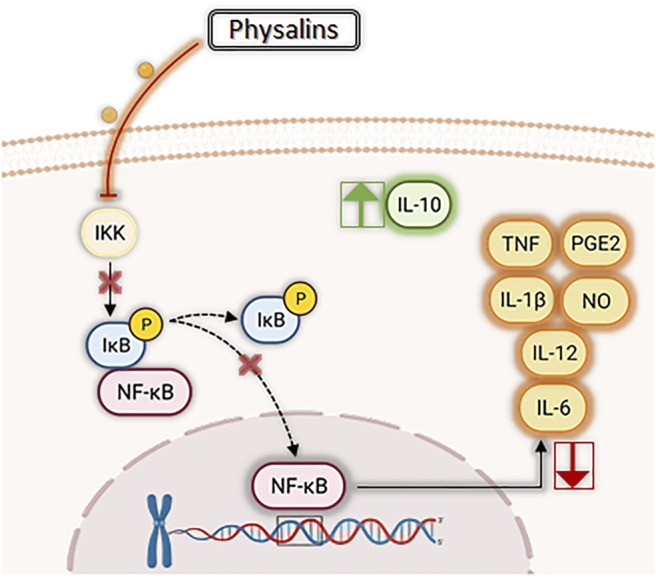 FIGURE 3