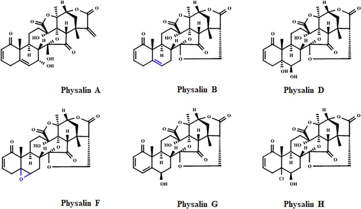 FIGURE 2