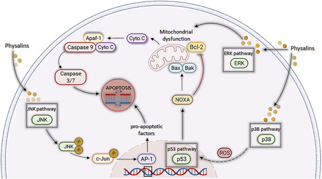 FIGURE 4