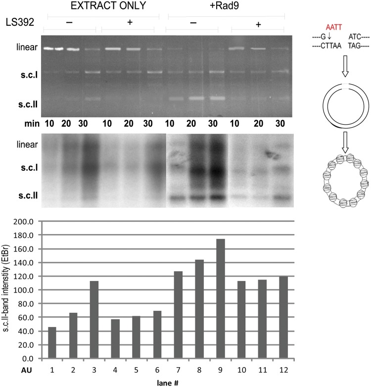 Figure 4.