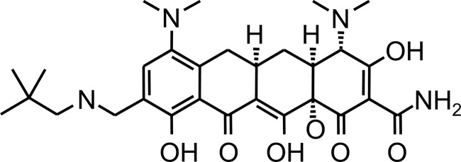 FIG 1