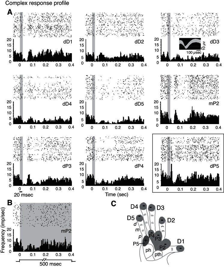 Fig. 7.