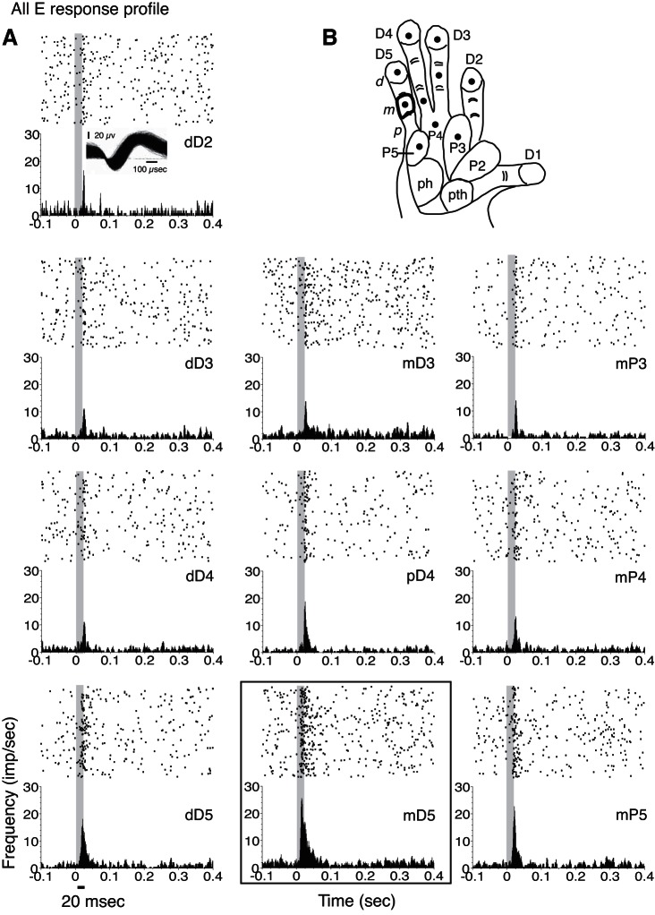 Fig. 11.