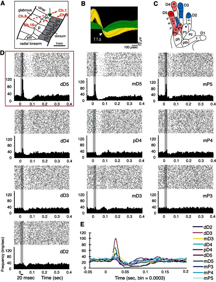 Fig. 4.