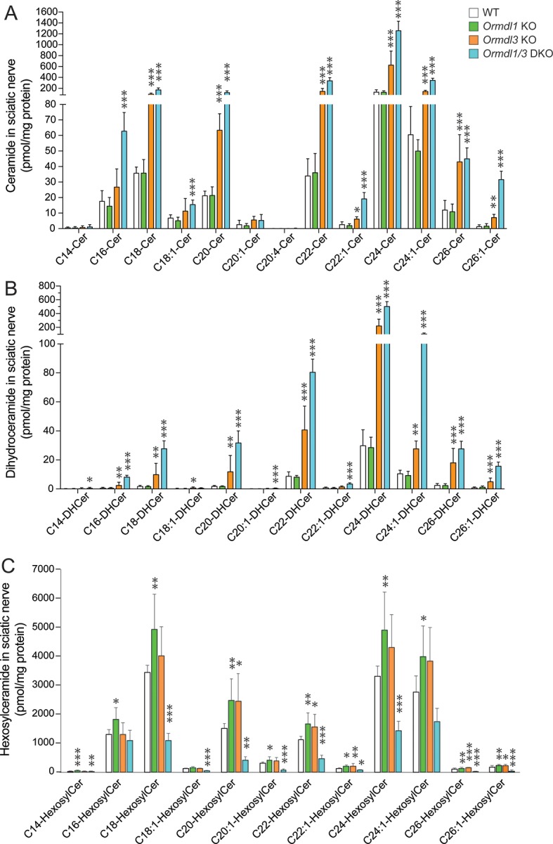 Figure 3—figure supplement 1.