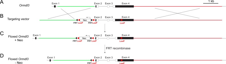 Figure 1—figure supplement 1.