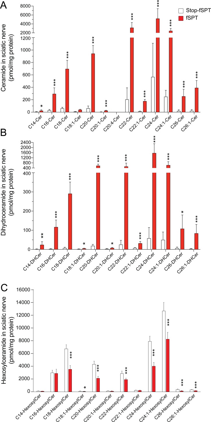 Figure 4—figure supplement 2.