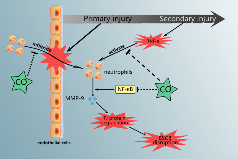 Graphical Abstract