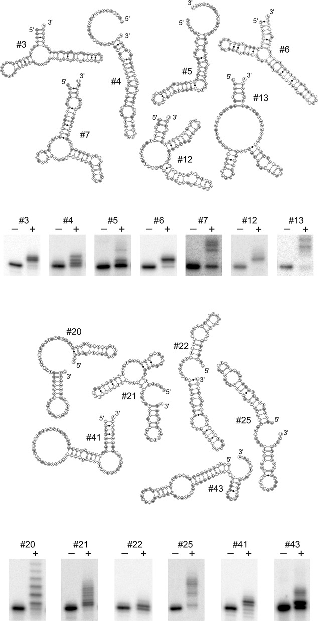 Figure 2.