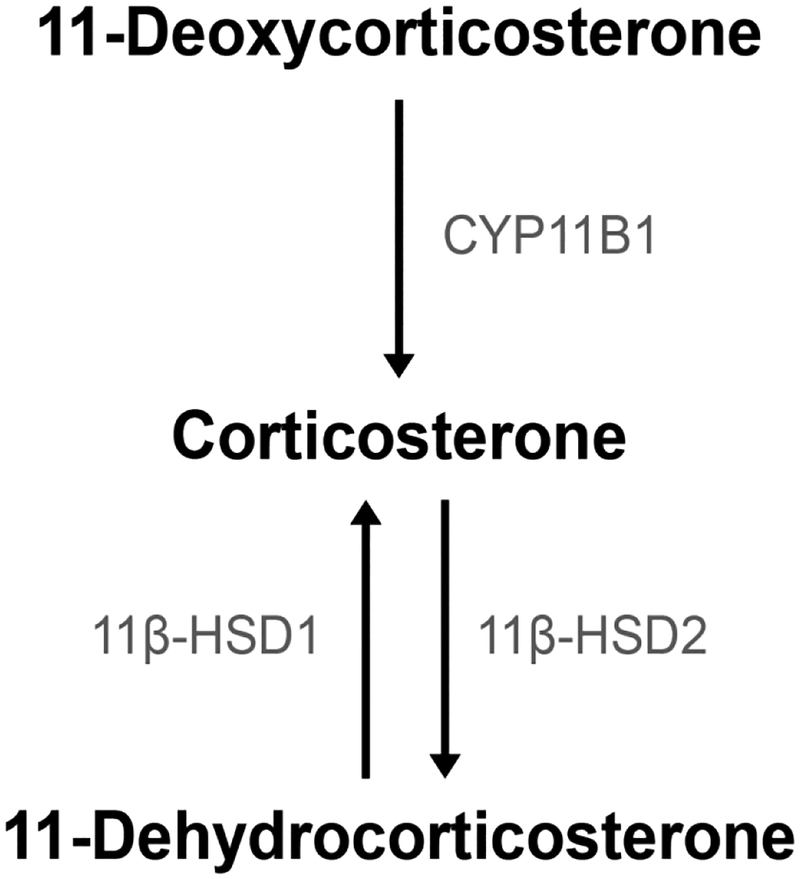 Figure 1: