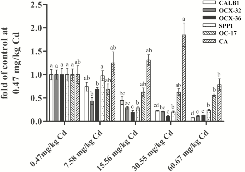 Figure 6.