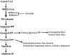 Fig. (1)
