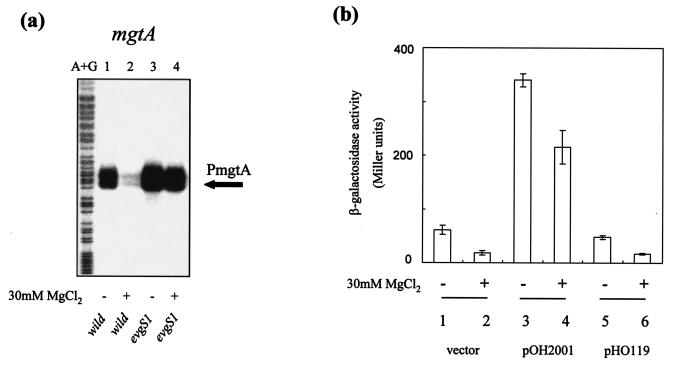 FIG. 5.