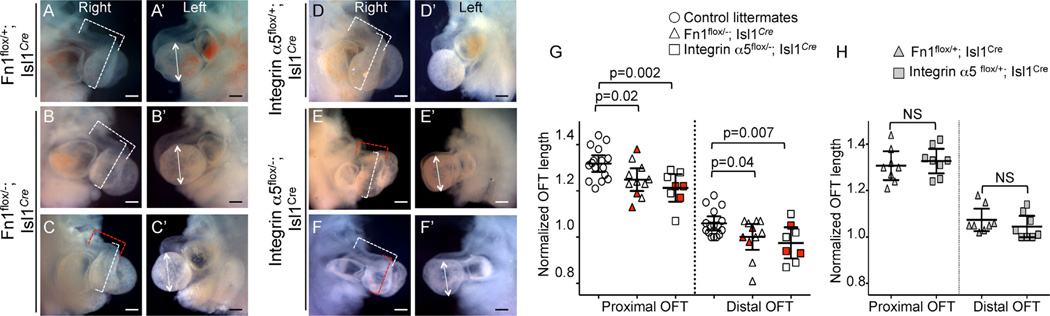 Fig. 11